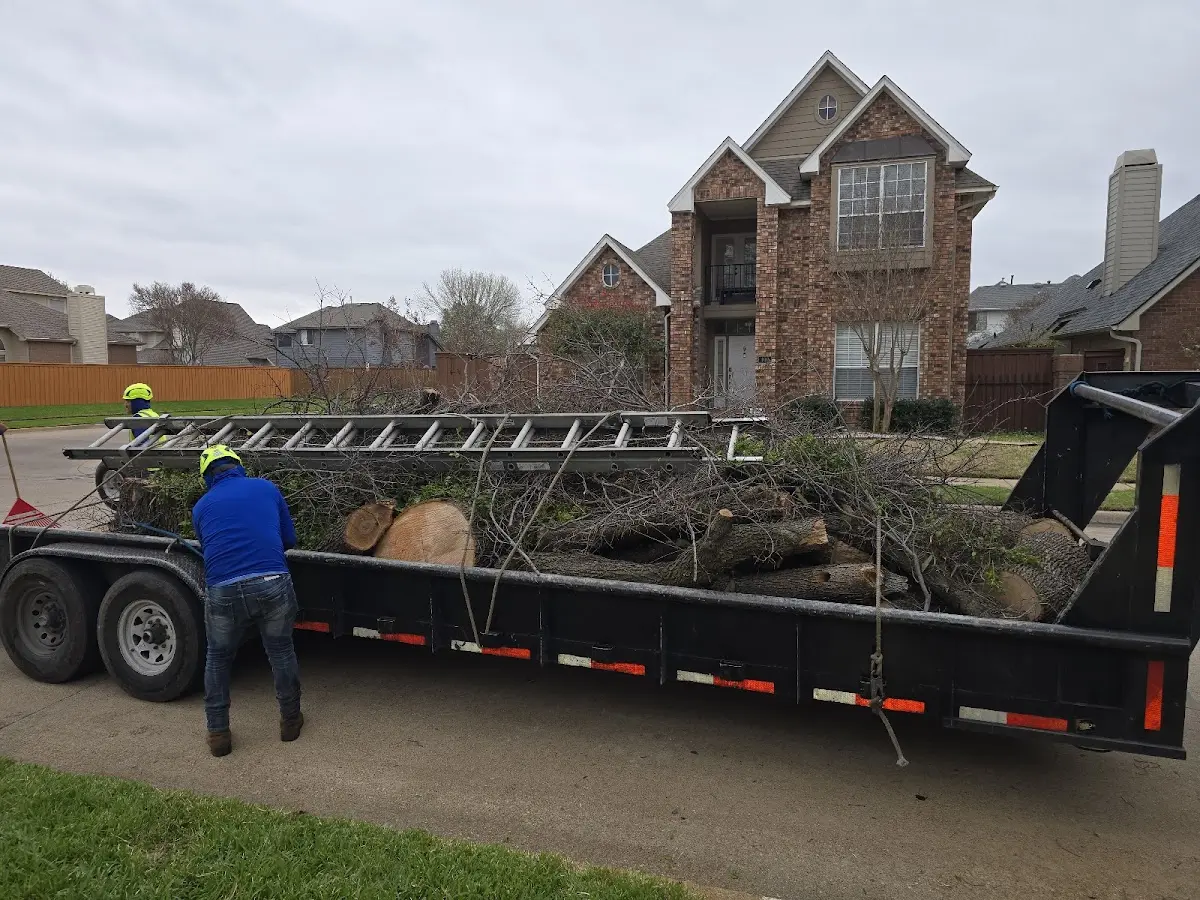Expert Tree Fertilization with proper safety equipment in Verdi